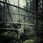 Glen Orchy & Glen Etive 3