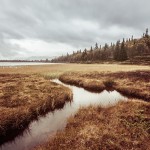 Nordic Landscapes25