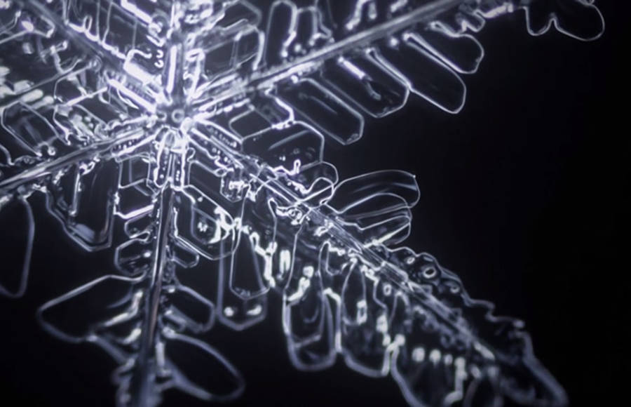 Microscopic Time-lapse Video of Snowflakes