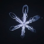 Snow 5