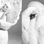 Sofia Sanchez & Mauro Mongiello wearing Alexander McQueen | Sleeping Swan by Nigel French