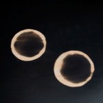 Thermochromic 6