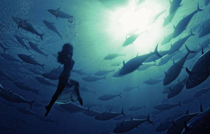 Underwater Photography by Kurt Arrigo