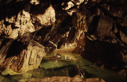 Henri, guide de 91 ans, raconte la magie des grottes de Vallorbe.