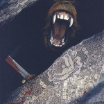Animal Kingdom Illustrations4