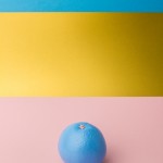 Colors Fruits by André Britz 4