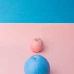 Colors Fruits by André Britz 9