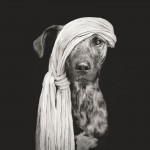 Dog Portraits by Elke Vogelsang4