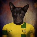 Dogs of World Cup Brazil 201411