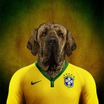 Dogs of World Cup Brazil 201412