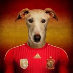 Dogs of World Cup Brazil 201413