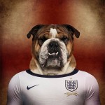 Dogs of World Cup Brazil 201414