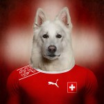Dogs of World Cup Brazil 201415