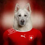 Dogs of World Cup Brazil 201415