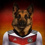 Dogs of World Cup Brazil 20142