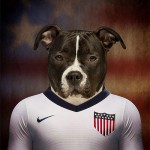 Dogs of World Cup Brazil 20144