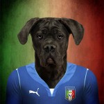 Dogs of World Cup Brazil 20146