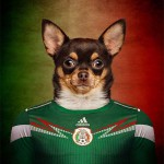 Dogs of World Cup Brazil 20148