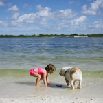 Friendship Between a Young Girl and a dog 19