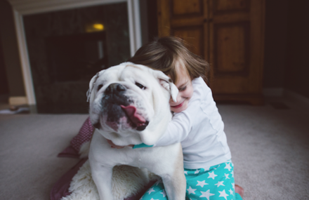Friendship Between a Young Girl and a Dog