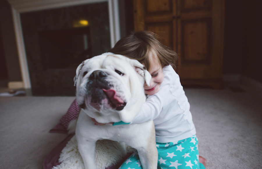 Friendship Between a Young Girl and a Dog