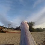 GoPro - Pelican Learns To Life3