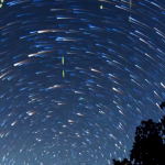 Timelapse Scenes of Swarming Fireflies  9