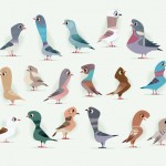 Birds And Cages Illustrations 6