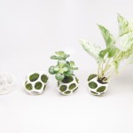 Ecoid Urban Nature1