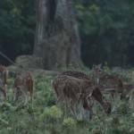 Google Glass Into The Wild6