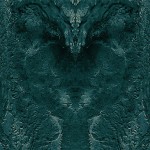 Rorschach-Patterns-3