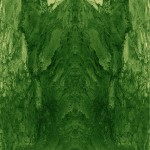 Rorschach-Patterns-6