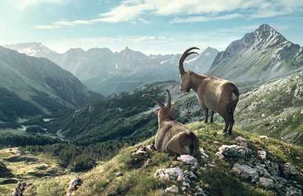 Graubünden Tourismus « Natürlich Sommer – Mungg »