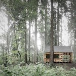 woodenhouseinthemiddleoftheforest-1