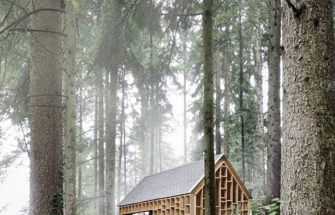 Wooden House In The Middle of The Forest