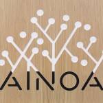 Ainoa Shopping Branding 1