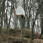 Bird Apartment by Nendo 8