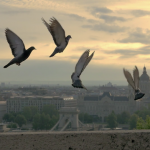 Budapest Cityscape 2