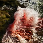 Dramatic Ocean Waves Crash  5