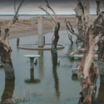 Epecuen Trailer 3