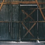 Finn Beales Photography 1