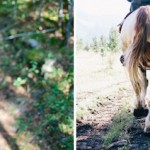 Finn Beales Photography 16