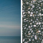 Finn Beales Photography 18