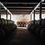 Finn Beales Photography 2