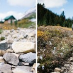 Finn Beales Photography 20