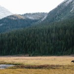 Finn Beales Photography 8