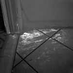 Homicide Photography by Angela Strassheims 4