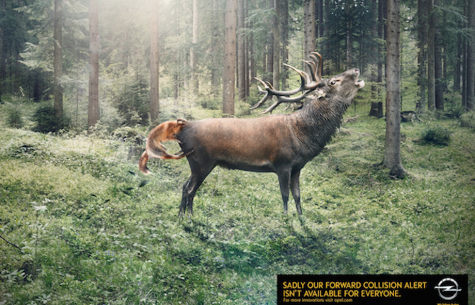 Opel – Animal Collision Campaign