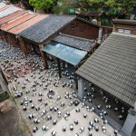 Papier-mache Pandas in Hong Kong4