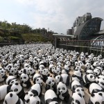 Papier-mache Pandas in Hong Kong7